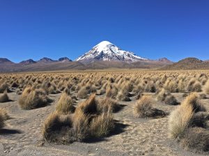 Volcán Sajama en Bolivia