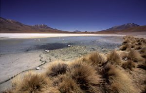 laguna Hedionda